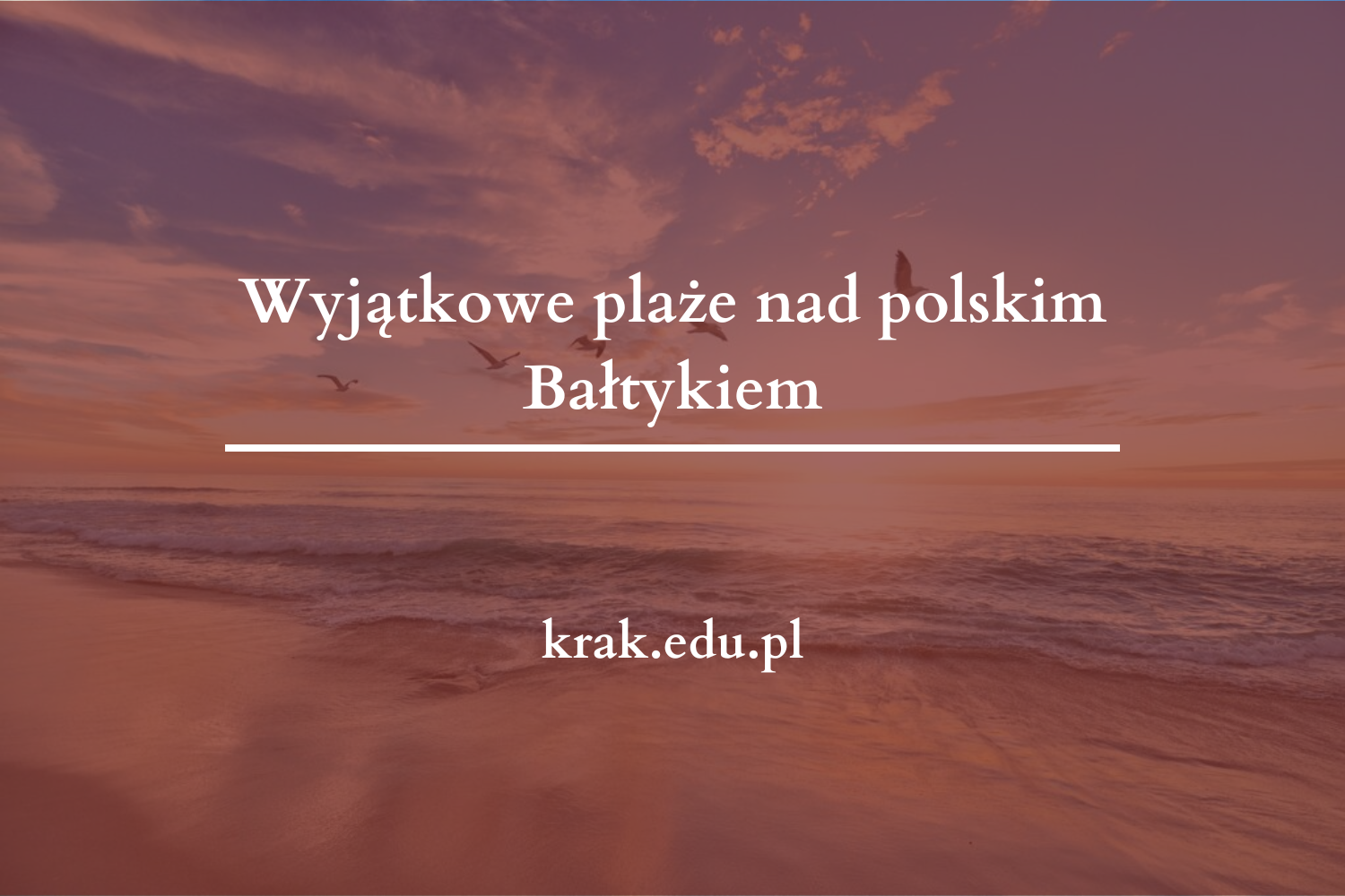 Wyjątkowe plaże nad polskim Bałtykiem